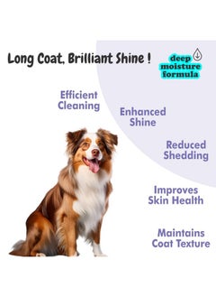 Harrods Bscly Long Locks Dog Shampoo with Green Tea & Aloevera | Dog Shampoo for Pomeranian, Shih tzu Puppy, German Shepherd, Labrador & Golden Retriever, Dogs Shampoo | 500ml  - Image 3
