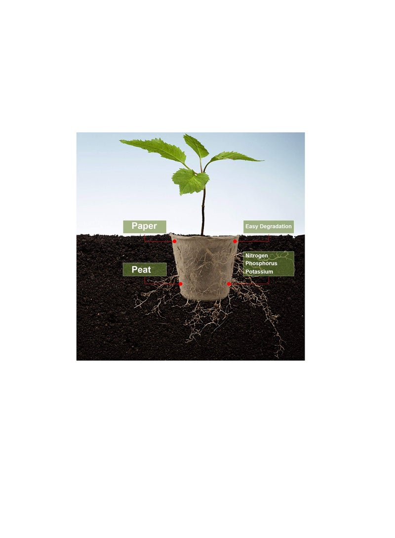 Augshy 100 Pack 2.4" Peat Pots for Seedlings Starter Nursery Pots Organic Biodegradable Paper Pots Herb Kit Eco-Friendly - Image 3