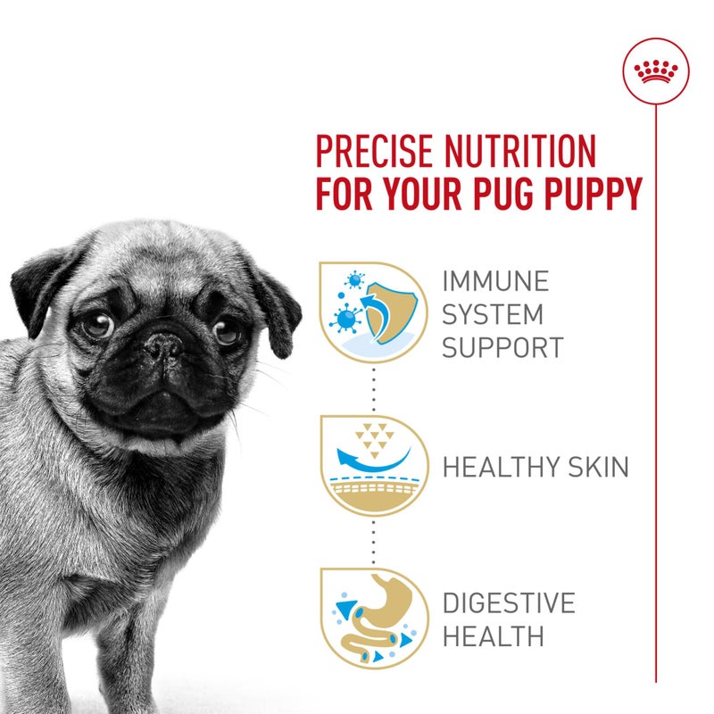 Royal Canin Breed Health Nutrition Pug Puppy Dry Dog Food, 2.5 lb Bag - Image 3