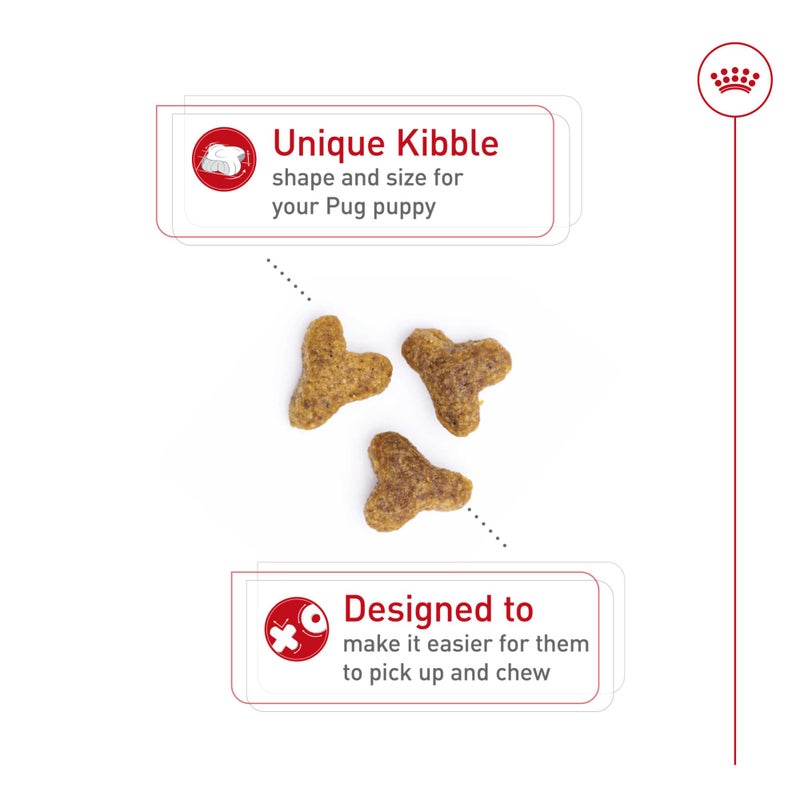 Royal Canin Breed Health Nutrition Pug Puppy Dry Dog Food, 2.5 lb Bag - Image 2