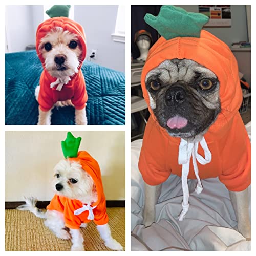 Wiz BBQT Dog Christmas Halloween Costumes,Dog Hoodies for Small Dogs Cats, Cat Puppy Outfits,Yorkie Chihuahua Pomeranian Clothes (X-Small, Orange-Carrot) - Image 5