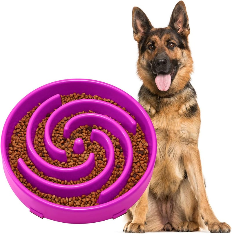 JASGOOD Slow Feeder Dogs Bowl for Large Medium Dogs,Anti-Gulping Pet Slower Food Feeding Bowls Stop Bloat,Preventing Choking - Image 1