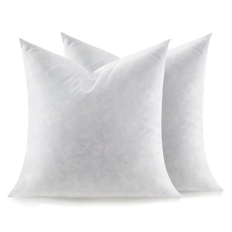 Swandream Feather Throw Pillow Inserts Set of 2, Soft Fluffy Square 24 x 24 Inches Decorative Pillow Insert, Feather and Down Filled Euro Pillows - Image 1
