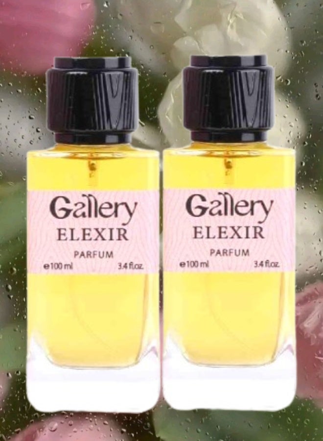 Gallery 2 Pieces Gallery Elexir Perfume 100ML - Image 1