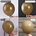 PartyWoo Brown Balloons 100pcs 12 Inch Boho Neutral Coffee Tan Fall Latex Helium Balloons for Wedding Baby Shower Gender Reveal Graduation Safari Woodland Birthday Fall Party Decorations BrownF09 - Image 4