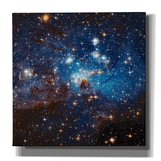 LH 95 STAR CLUSTER HUBBLE SPACE TELESCOPE CANVAS WALL ART 12 X 12