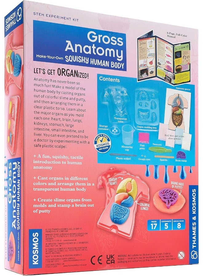 Thames & Kosmos Gross Anatomy: Make-Your-Own Squishy Human Body STEM Experiment Kit - Image 2