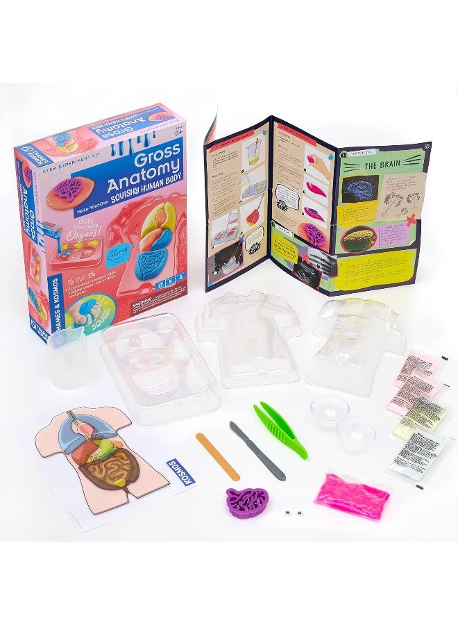 Thames & Kosmos Gross Anatomy: Make-Your-Own Squishy Human Body STEM Experiment Kit - Image 3
