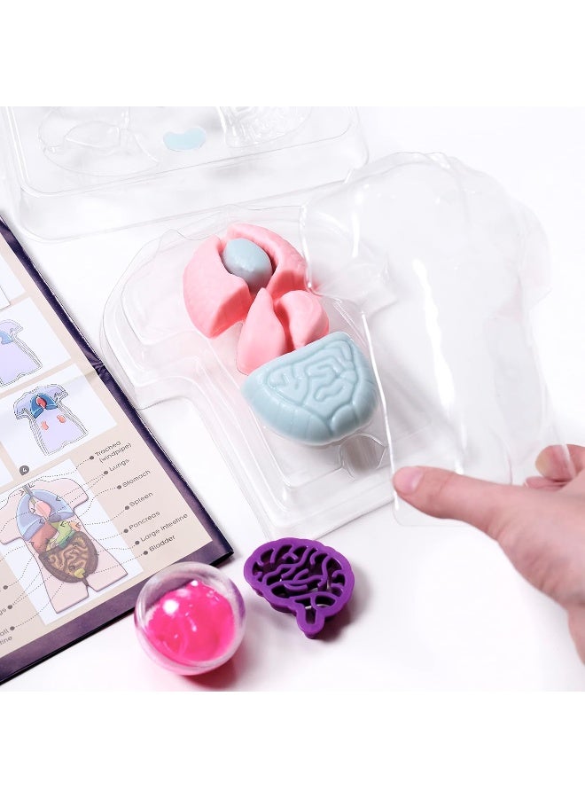 Thames & Kosmos Gross Anatomy: Make-Your-Own Squishy Human Body STEM Experiment Kit - Image 5