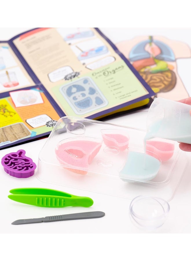 Thames & Kosmos Gross Anatomy: Make-Your-Own Squishy Human Body STEM Experiment Kit - Image 4
