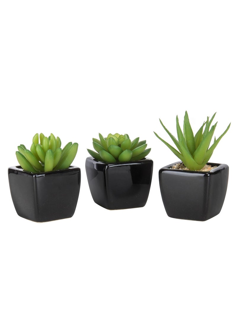 مجموعة نباتات عصارية صناعية سيراميك مربعة بلون اسود - 3 قطع - Image 1