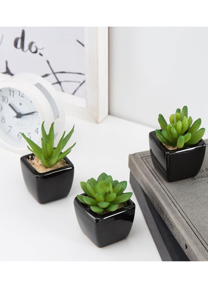 مجموعة نباتات عصارية صناعية سيراميك مربعة بلون اسود - 3 قطع - Image 3