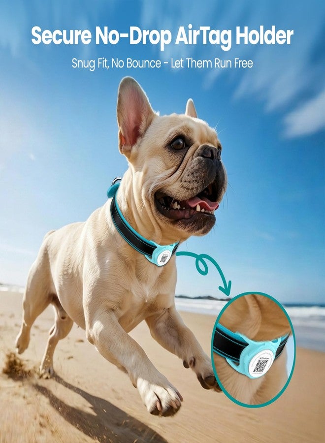 PawView for AirTag Holder Dog Collar, Smart QR Code Holder for Cats and Dogs, for AirTag Protective Cases - Scan Alert, Instant Location, Pet Online Profile, Contacts Info (1Pack,Robin's Egg Blue) - Image 5