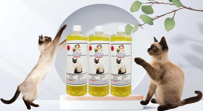 SWACCH Shampoo Specially FORMULATED for Siamese Cat (1 Litre) (Pack of 3) Lemon - Image 2
