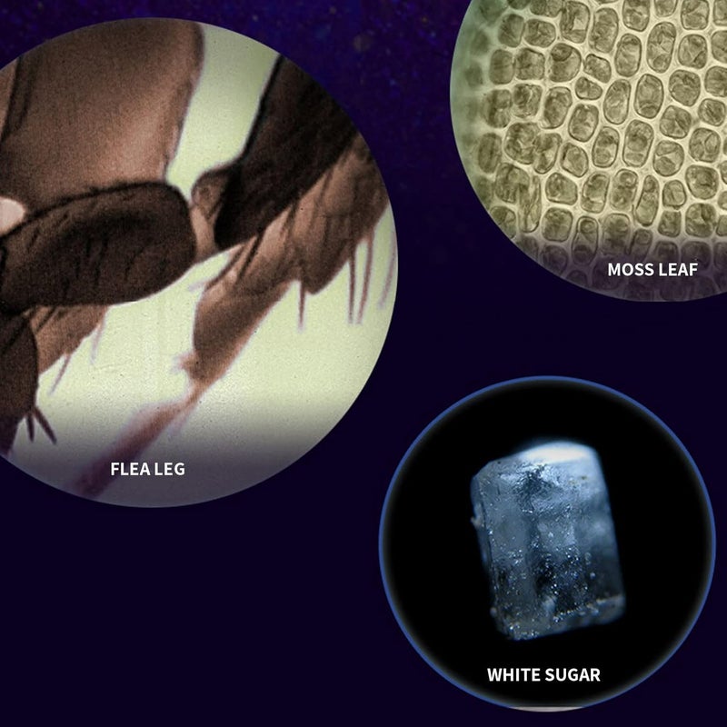 klarako Kids Handheld Microscope, High Definition 60x120x Zoom Portable Pocket Microscope with LED Light, School Biological Science Educational Toys Children Gift (Pink) - Image 5