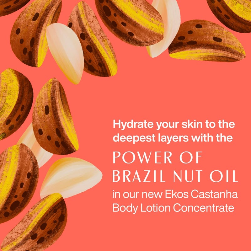 Natura - Brazil Nut Body Lotion Concentrate Kit - Castanha Moisturizer - Anti-Dryness - Deep Skin Hydration - Vegan Skin Care - Self Care & Body Care - Image 2