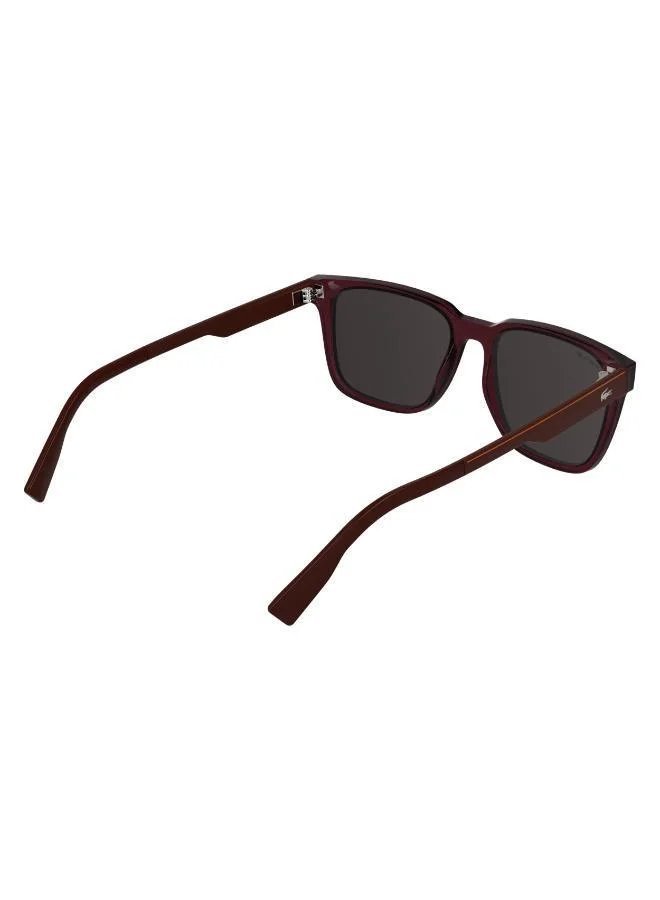 LACOSTE  Rectangle Sunglasses for Men | Best Price UAE