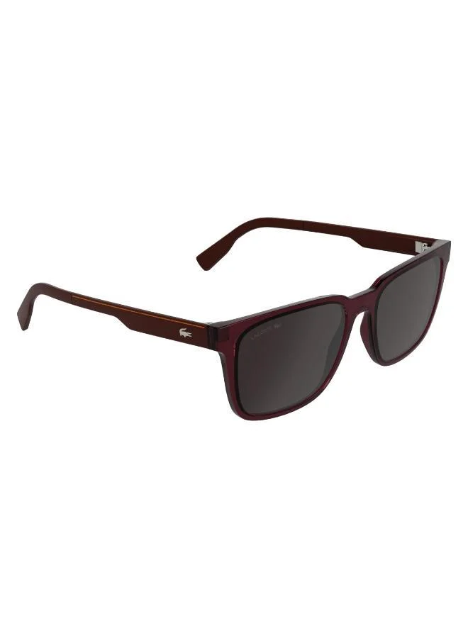 LACOSTE  Rectangle Sunglasses for Men | Best Price UAE