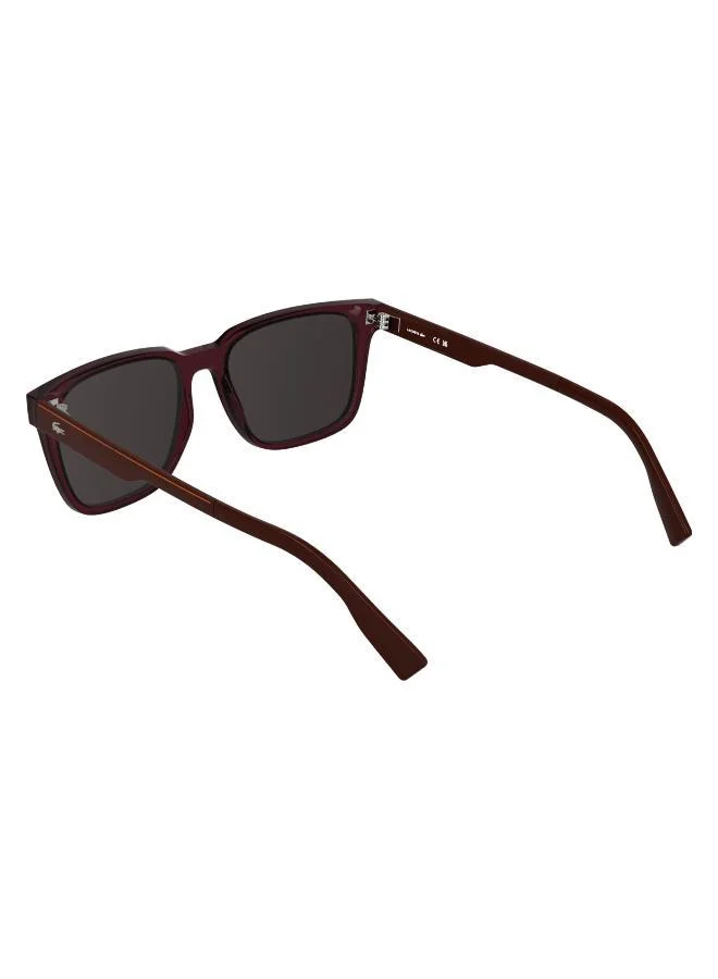 LACOSTE  Rectangle Sunglasses for Men | Best Price UAE