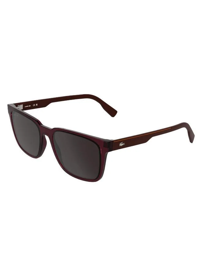 LACOSTE  Rectangle Sunglasses for Men | Best Price UAE