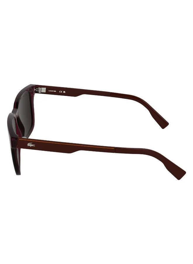 LACOSTE  Rectangle Sunglasses for Men | Best Price UAE