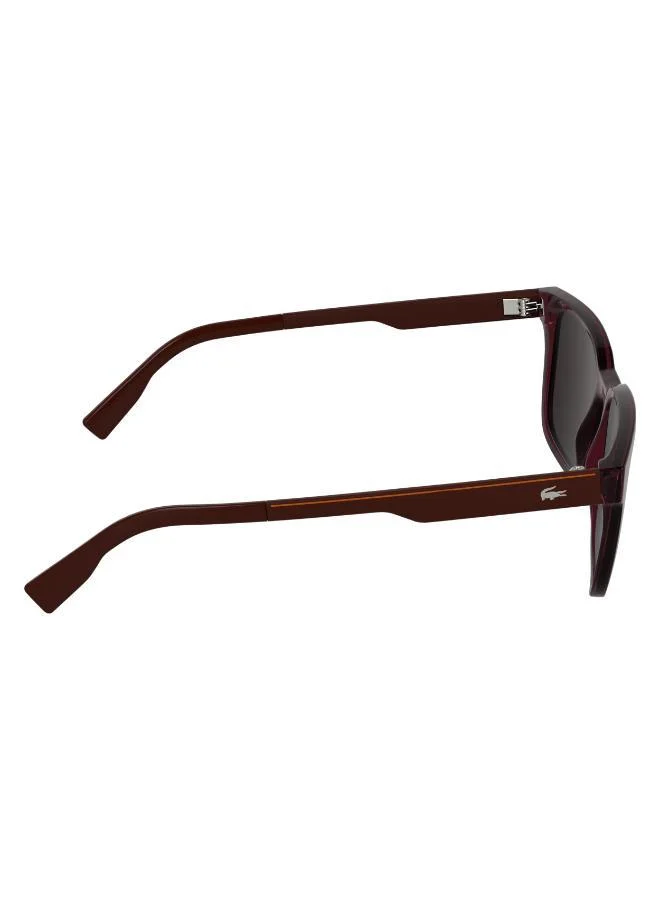LACOSTE  Rectangle Sunglasses for Men | Best Price UAE