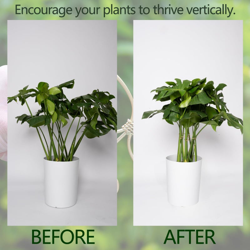 Goooxim 5PCS Monstera Plant Stem Support Stakes - 5.5 * 5.5IN Metal Supports for Monstera and Fishbone Cactus, Sturdy Frame, Easy Installation, Flexible Protection for Healthy Growth Indoors - Image 3