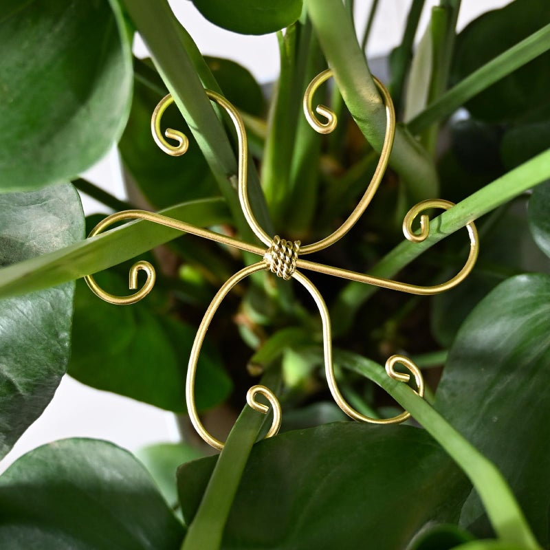 Goooxim 5PCS Monstera Plant Stem Support Stakes - 5.5 * 5.5IN Metal Supports for Monstera and Fishbone Cactus, Sturdy Frame, Easy Installation, Flexible Protection for Healthy Growth Indoors - Image 1