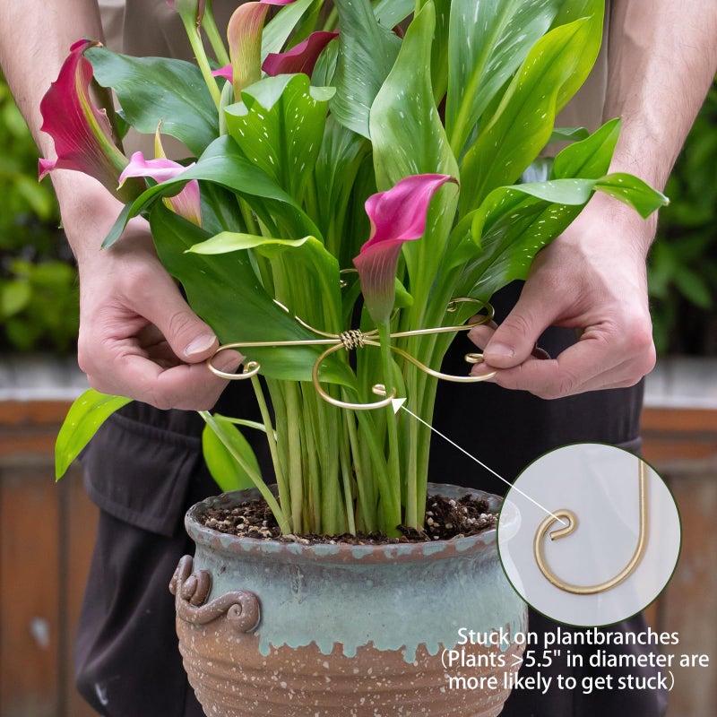 Goooxim 5PCS Monstera Plant Stem Support Stakes - 5.5 * 5.5IN Metal Supports for Monstera and Fishbone Cactus, Sturdy Frame, Easy Installation, Flexible Protection for Healthy Growth Indoors - Image 5