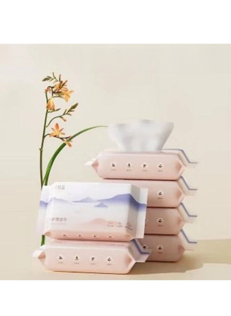 Be a better mom Ultra Soft Toilet Wipes Gentle and Skin Friendly, 20 Sheets Per Pack, Small Travel Pack Easy to Carry  - Image 1