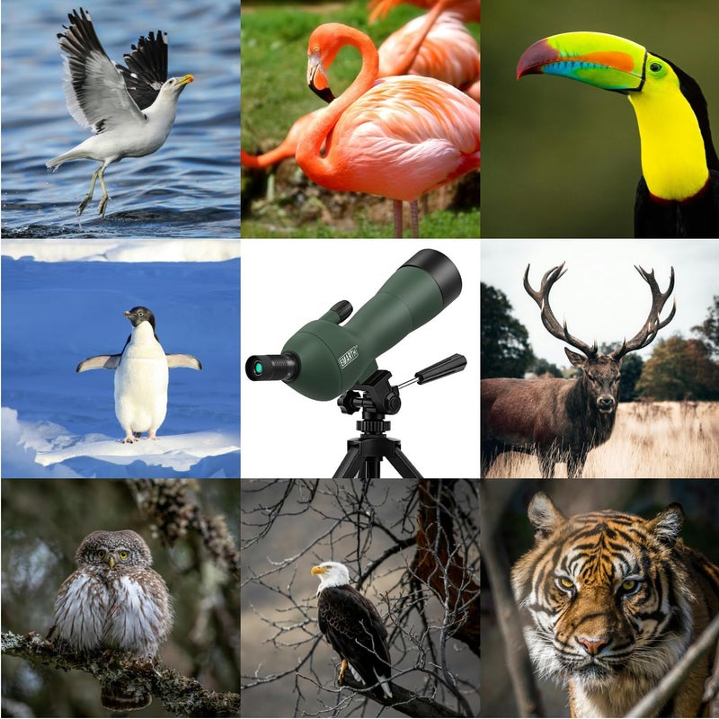 Emarth 20-60x60 Angled Spotting Scope for Target Shooting, Spotting Scope w/Tripod 14" Tabletop/Carry Bag, 1.37lb Light Spotter Scope, Waterproof Spotting Scopes for Hunting/Birding/Wildlife View - Image 5
