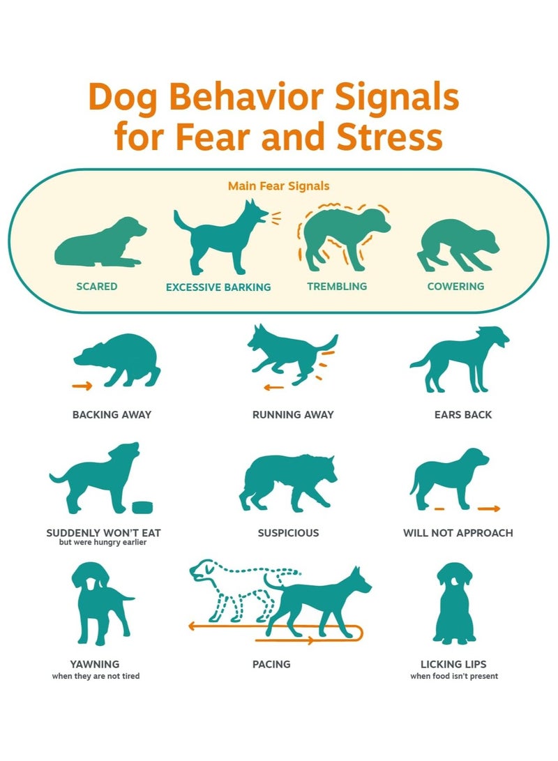 Zesty Paws Advanced Calming Chews for Dogs, Turkey Flavor, Melatonin, 90 Ct - Image 5