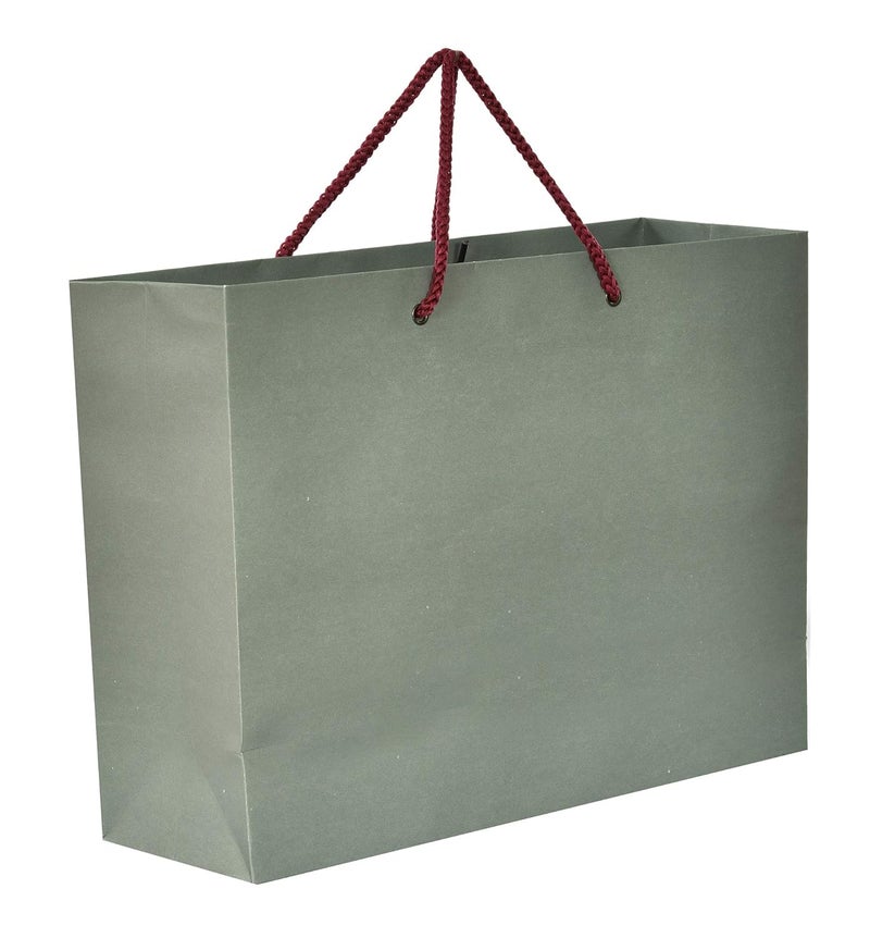 PPJ PAPER CARRY BAG 9 Inch X 4 Inch X 12 Inch Medium for DIWALIFUNCTIONBIRTHDAYRETURN GIFTS GREY PLAIN Pack of 10
