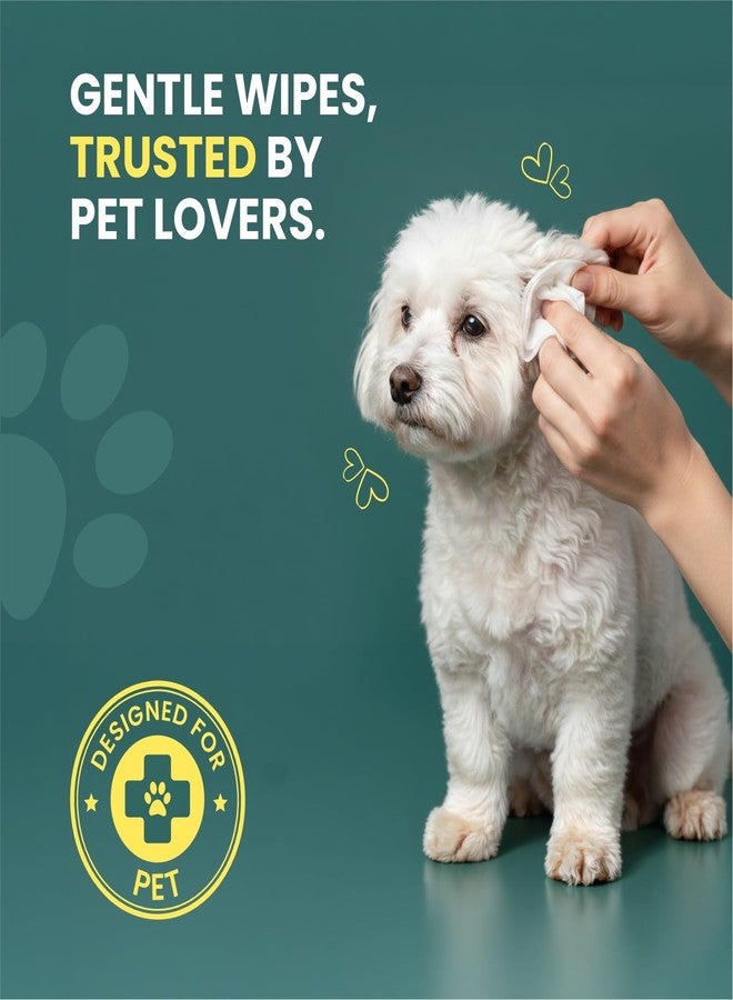 Silk Soft Pet Wipes | 160 Wipes (80 Pulls x 2 Packs) | Gentle Cleaning Wipes for Dogs & Cats | Deodorizing & Skin-Friendly Pet Grooming Wipes | Ideal for Paws, Fur, Face & Body - Image 3