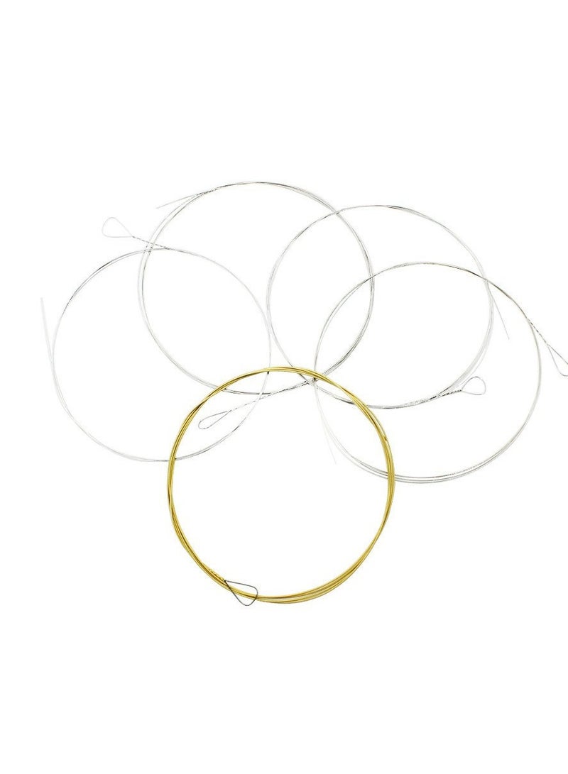 IRIN Banjo String BJ12 Five String Banjo String - Image 4