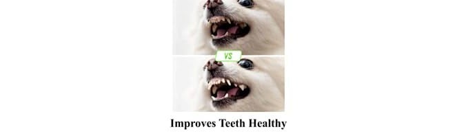 VetSafe Dog Toys Dog Chew Toys Puppy Teething Toys Dog Toys for Small Dog Toys Dog Toy Pack Tug Toy Dog Toy Set Washable Cotton Rope for Dogs - Image 3