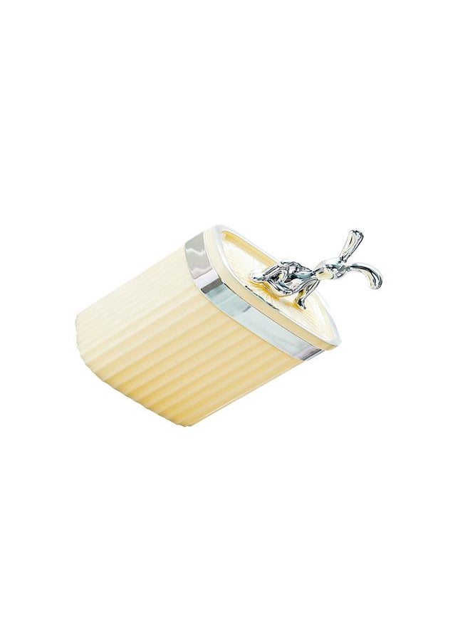 Thoraya Toothpick Holder Large Capacity Fashion Look Toothpick Container Storage Box Jar for Home Restaurant Cream Yellow  - Image 4