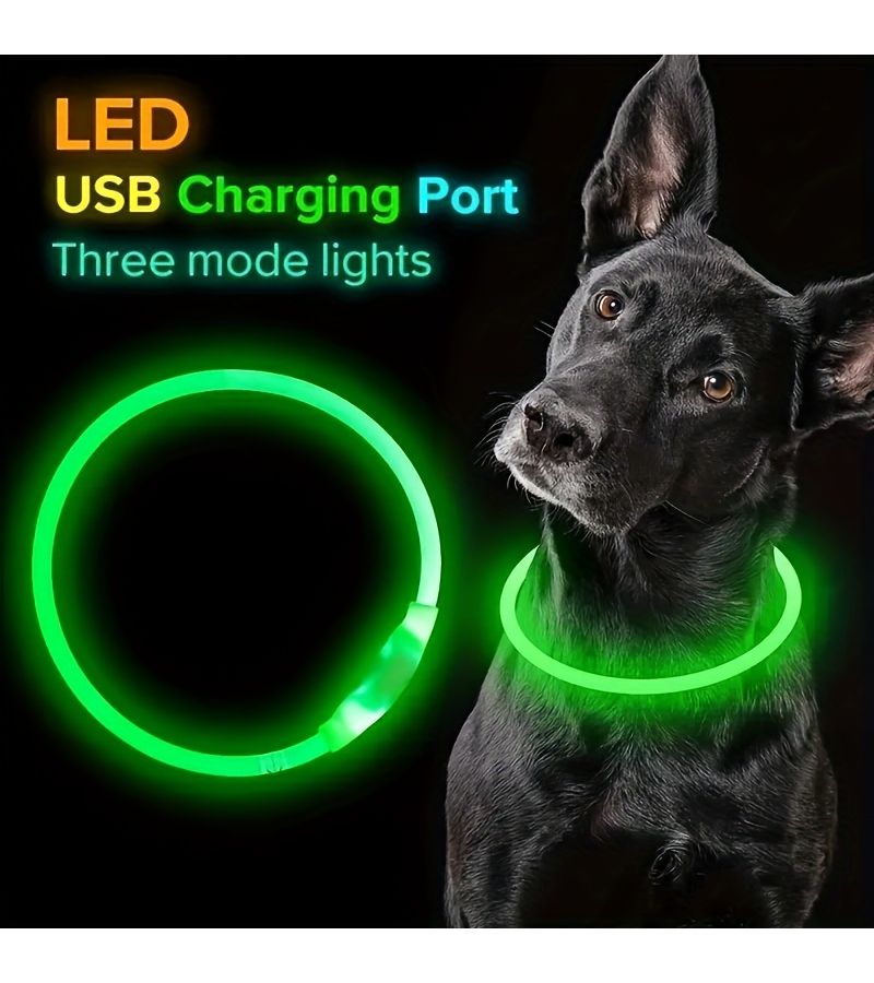 Blue Glow In The Dark USB Rechargeable Dog Collar For Small Medium Large Dogs Night Walking - Image 2