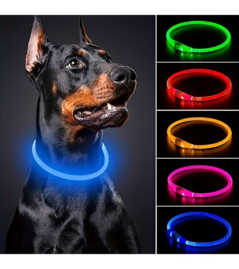 Blue Glow In The Dark USB Rechargeable Dog Collar For Small Medium Large Dogs Night Walking - Image 1