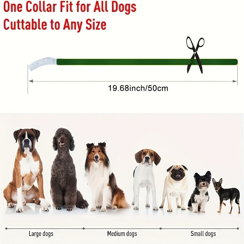 Blue Glow In The Dark USB Rechargeable Dog Collar For Small Medium Large Dogs Night Walking - Image 3