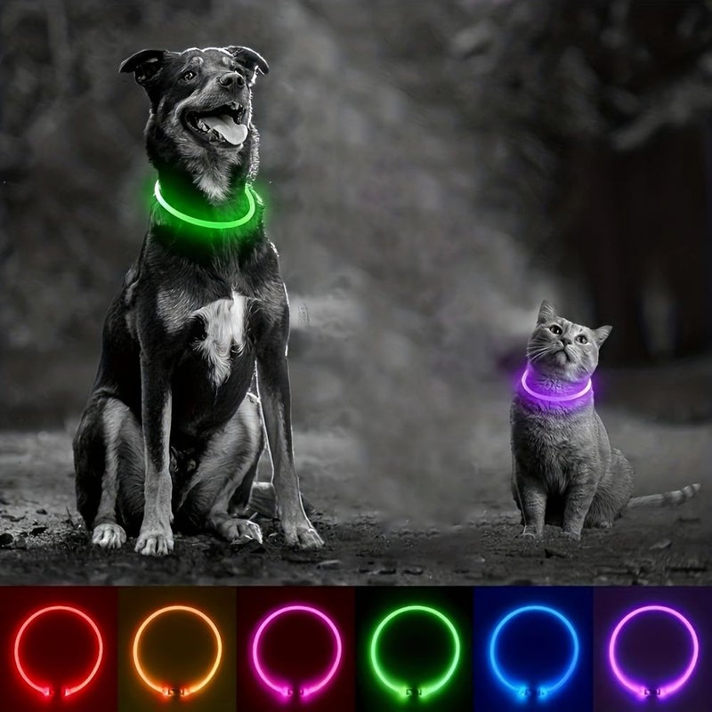 Blue Glow In The Dark USB Rechargeable Dog Collar For Small Medium Large Dogs Night Walking - Image 5