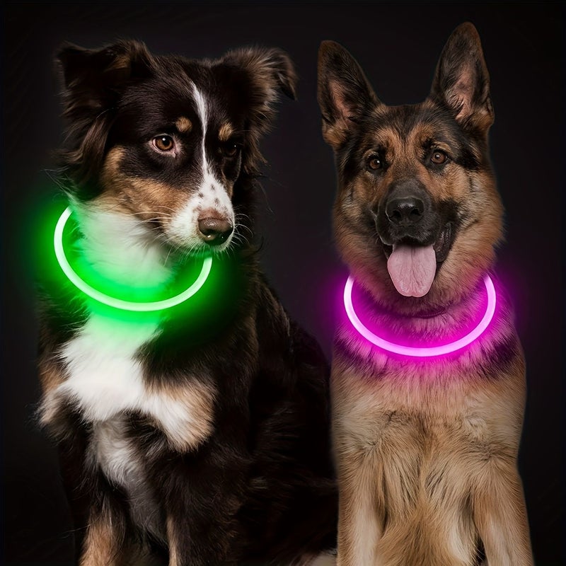 Blue Glow In The Dark USB Rechargeable Dog Collar For Small Medium Large Dogs Night Walking - Image 4
