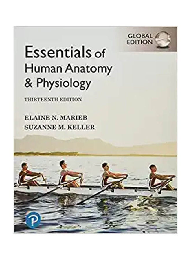 Essentials Of Human Anatomy & Physiology Global 13Th Edition