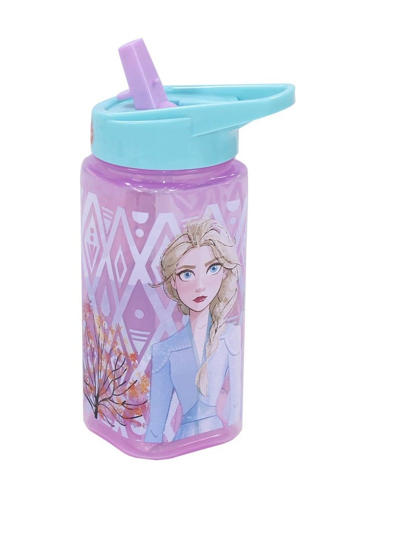 STOR - Water Bottle FROZEN  530 Ml - Image 1
