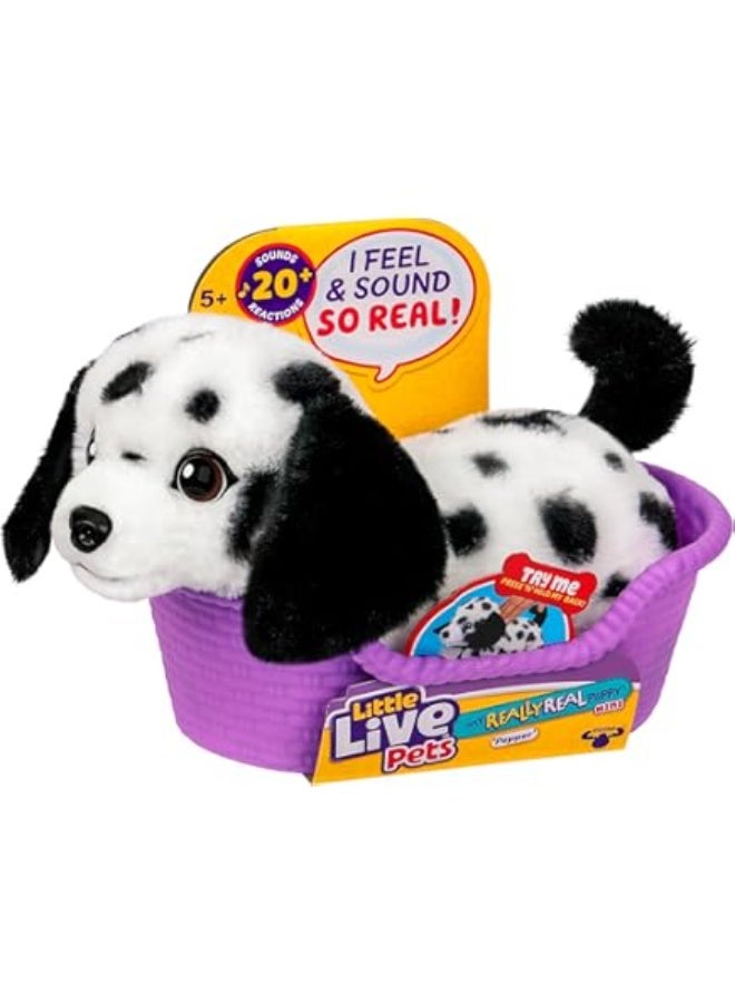 LITTLE LIVE PETS حيوانات حية صغيرة MRR S2 جرو ميني - Image 1