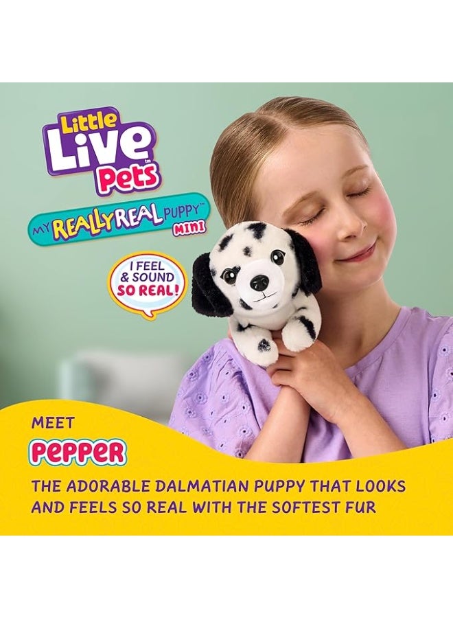 LITTLE LIVE PETS حيوانات حية صغيرة MRR S2 جرو ميني - Image 5