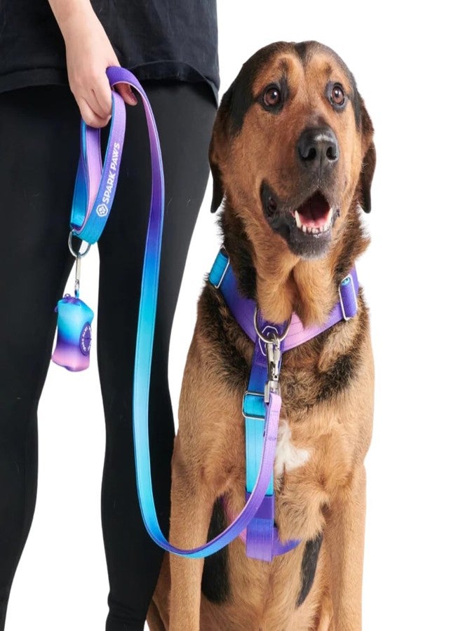Spark Paws Premium Dog Leash & Poop Bag Set - Heavy-Duty Alloy Hook for Strong Pulling Breeds - Comfortable, Durable & Secure - 90s Retro - Image 2