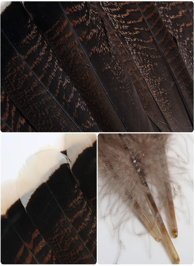 THARAHT 24pcs Natural Wild Turkey Tails Feathers Quill Bulk 8-10inch 20-25cm for DIY Crafts Project Collection Wedding Decoration Wild Turkey Tails Feather - Image 5