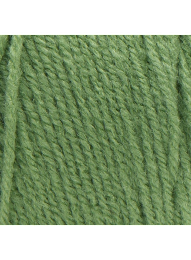 RED HEART E300.0624 Super Saver Yarn, Tea Leaf - Image 2
