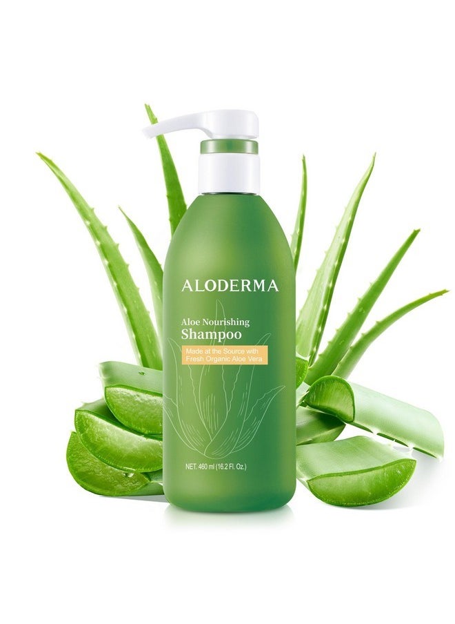 Aloderma Aloderma Aloe Nourishing Shampoo Featuring Fresh, Organic Aloe Vera for Dry and Damaged Hair - Gently Cleanses and Moisturizes Dehydrated Hair for Soft, Healthy Hair - Alcohol, Paraben-Free - 16oz  - Image 1